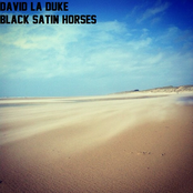 Black Satin Horses