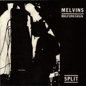 Blessing The Operation by Melvins