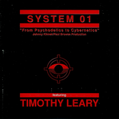 From Psychodelics To Cybernetics