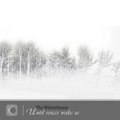 Until Voices Wake Us