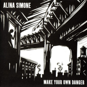Make Your Own Danger by Alina Simone