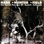 Hare, Hunter, Field