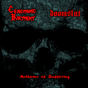 Anthems of Suffering (Split)