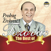 Predrag Živković Tozovac - The Best of 2013