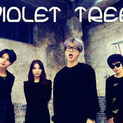 violet tree (바이올렛트리)