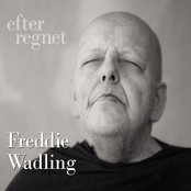 Efter regnet