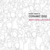 Shsh Shsh by Marc Ribot's Ceramic Dog