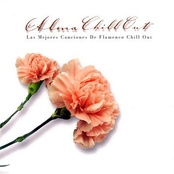 Alma Chill Out