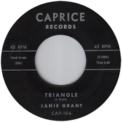 Triangle / She's Going Steady With You