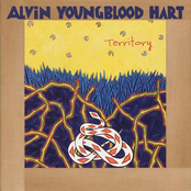 Alvin Youngblood Hart: Territory