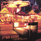 From the Nights You Lost Your Voice