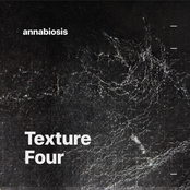 Texture Four