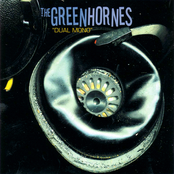 Don't Come Running To Me by The Greenhornes