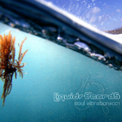 Soul Vibration #001