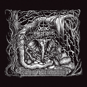 Year Of The Elephant