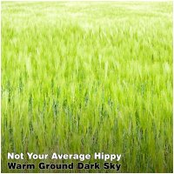 Voices Sixty Six by Not Your Average Hippy