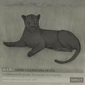 Leroy y la pantera negra