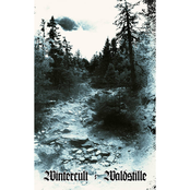 Wintercult / Waldstille