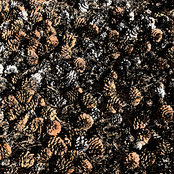 DUST