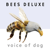 Bees Deluxe: Voice of Dog