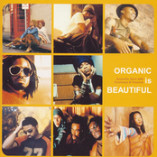 Organic Is Beautiful