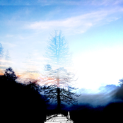 Arriving in the Safe Arms of Springtime