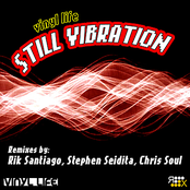 Vinyl Life: Still Vibration