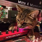 The Pirate Album Volume 7 (New Year's Eve 2016)