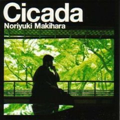 Cicada by 槇原敬之