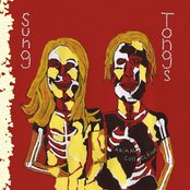 Animal Collective - Sung Tongs Artwork