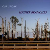 Higher Branches (Stidak.struh-mentals vol. 2)