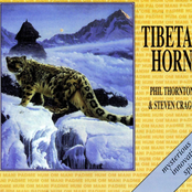 tibetan horn