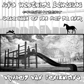 Vrijheid van Penisuiting