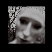 Big Winner (Spiders)