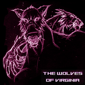 the wolves of virginia