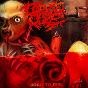 Born To Die