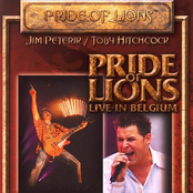 The Courage To Love Somebody by Pride Of Lions