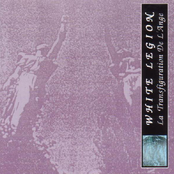 La Transfiguration De L'Ange