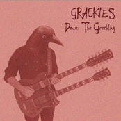 Grackles Deux: The Grackling