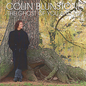 Second Avenue by Colin Blunstone