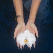 orchids (lullabies) - EP