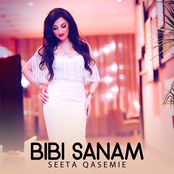 BiBi Sanam