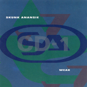 Skunk Anansie: Weak