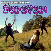 Wool Flies by Crab Smasher