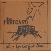 Say You Miss Me by The Forecast