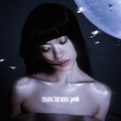 Chasing the Moon / petals