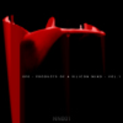 Products of a silicon mind (vol.1)