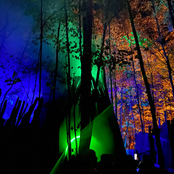 Night Woods Stirrings