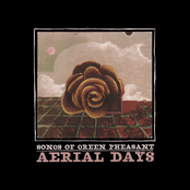 Aeriel Days
