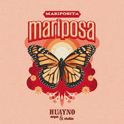 Mariposita Mariposa / Huayno Arpa y Violín